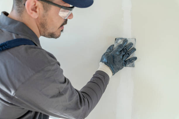  Lake Goodwin, WA Mold Removal Pros